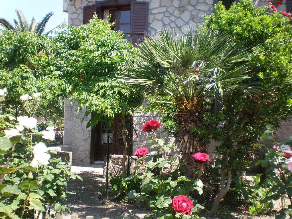 Islands Apartments Petra  Exterior foto